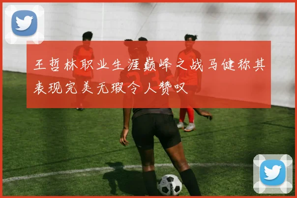王哲林职业生涯巅峰之战马健称其表现完美无瑕令人赞叹