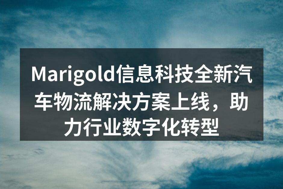 Marigold信息科技全新汽车物流解决方案发布会