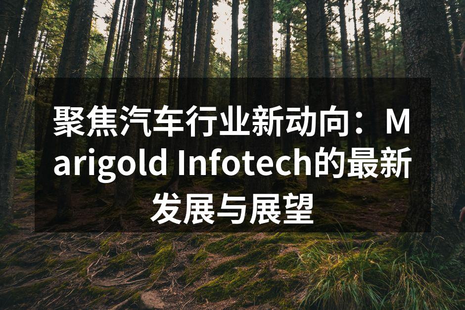 Marigold Infotech的智能物流管理系统界面
